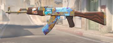 CS2 Elite Topluluğu